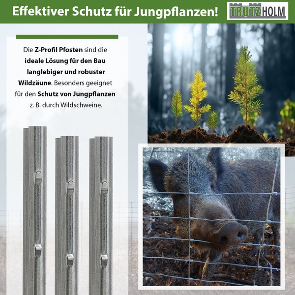Z Profil Pfosten für Wildzäune zum Schutz von Jungpflanzen und zur Abwehr von Wildschweinen.