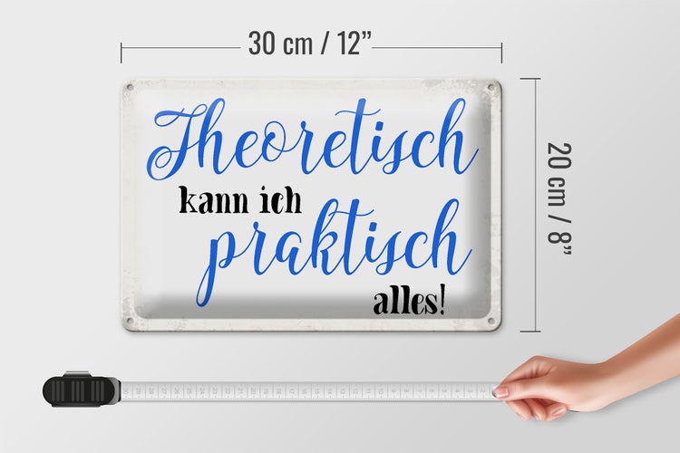 Blechschild Spruch 30x20cm theoretisch kann praktisch alles
