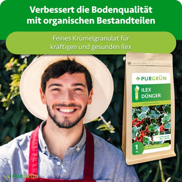 Ein Gärtner mit Hut neben einer Packung Purgrün Ilex Dünger als Bio Granulat für kräftige Pflanzen.