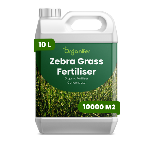 Organifer Zebragras-Dünger Konzentrat, 10 Liter Kanister für 10000 Quadratmeter, organischer Dünger.