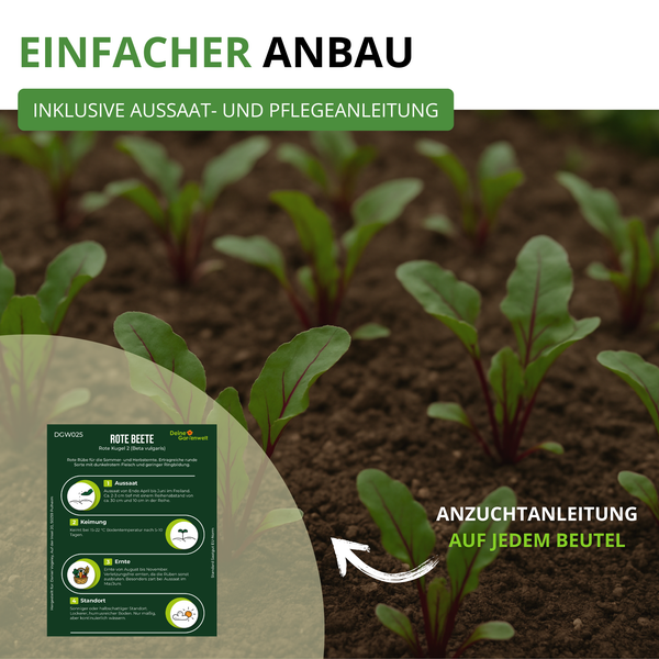 Junge Rote Bete Pflanzen im Beet mit Hinweis auf die Aussaat- und Pflegeanleitung auf jedem Beutel für den einfachen Anbau.
