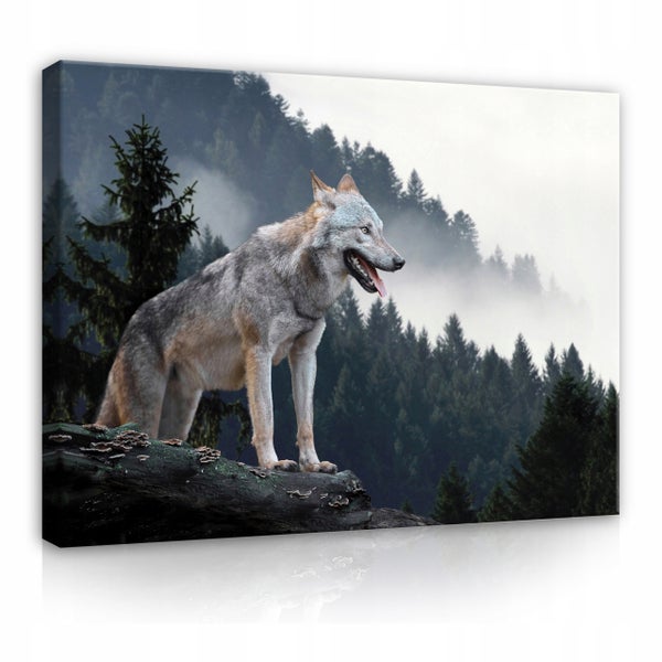 Leinwandbild Wolf Natur Modern Bilder Wohnzimmer 100X70 cm