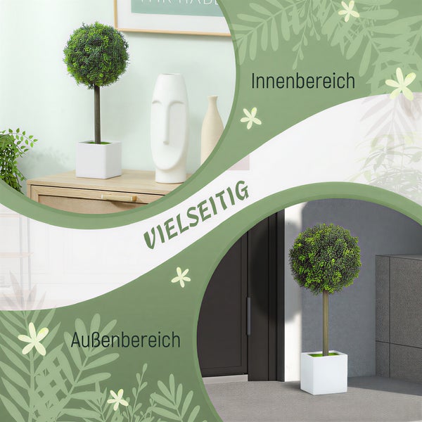 Dekorativer Buchsbaum im Topf für den Innen- und Außenbereich