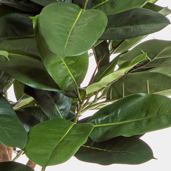 Künstlicher Gummibaum im schwarzen Topf mit realistisch wirkenden, großen Blättern und einem strukturierten Stamm mit Luftwurzeln.