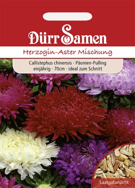 Samenpackung Dürr Samen Herzogin-Aster Mischung, einjährige Callistephus chinensis, Wuchshöhe circa 70 Zentimeter, ideal als Schnittblume.
