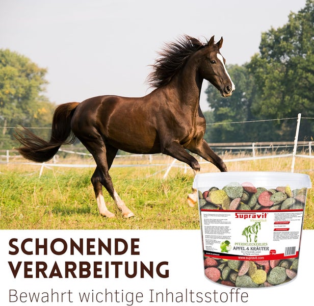 Supravit Pferde Leckerlies Apfel und Kräuter Eimer mit galoppierendem Pferd