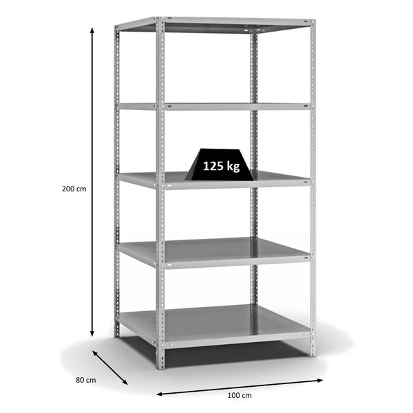 PROREGAL Fachbodenregal Schraubsystem Light-Duty Grundregal HxBxT 200 x 100 x 80 cm 5 Ebenen Fachlast 125 kg Beidseitig Nutzbar Verzinkt