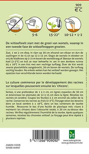 Anleitung zur Aussaat von Zichoriensamen