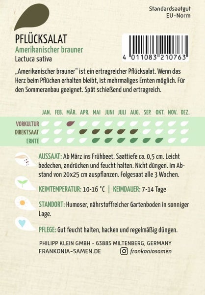 Samenpackung Pflücksalat Amerikanischer Brauner