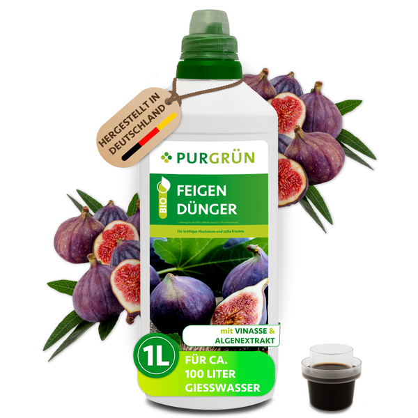 Purgrün Bio Feigendünger Flüssigdünger 1 Liter für gesundes Wachstum