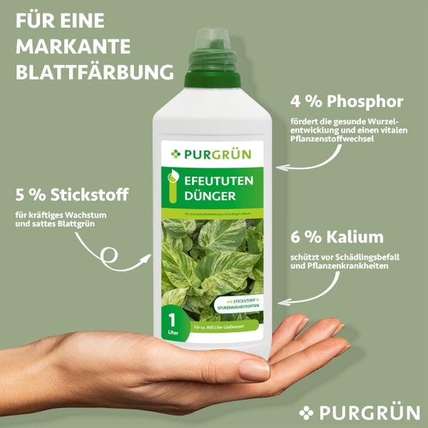 Purgrün Efeututen-Dünger 1 Liter