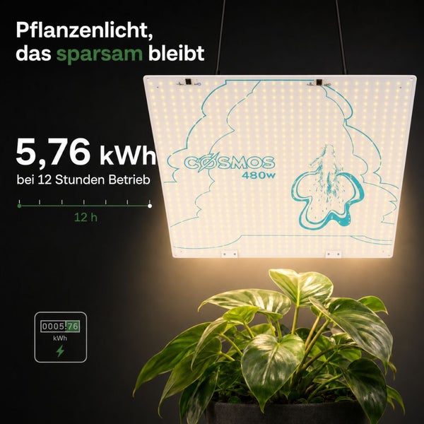 Cosmos 480 Watt LED Pflanzenlicht über einer Pflanze mit Hinweis auf einen Stromverbrauch von 5,76 Kilowattstunden bei 12 Stunden Betrieb.