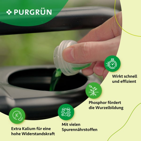 Purgrün Weihnachtsstern-Dünger 1 Liter