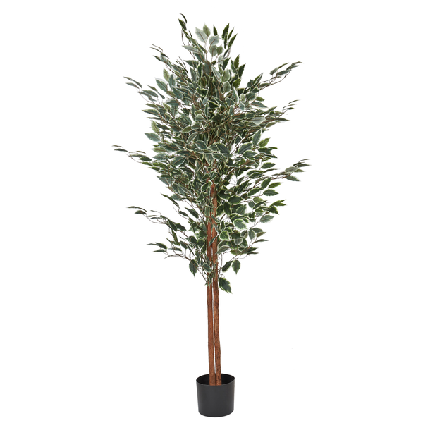 Künstlicher Ficus Benjamini Baum im Topf