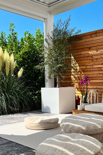 Hell gestaltete Terrasse mit großem weißem quadratischem Pflanzkübel samt Olivenbaum, Sichtschutzwand aus Holz, Outdoor Teppich und Sitzkissen.