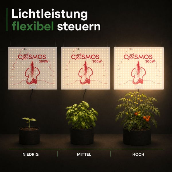 Cosmos 300 Watt LED Pflanzenlicht mit flexibler Steuerung der Lichtleistung in drei Stufen für unterschiedliche Wachstumsphasen von Pflanzen.