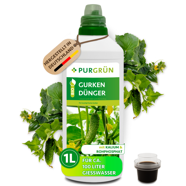 Purgrün Bio Gurkendünger in 1-Liter-Flasche für circa 100 Liter Gießwasser, mit Kalium und Rohphosphat, hergestellt in Deutschland.