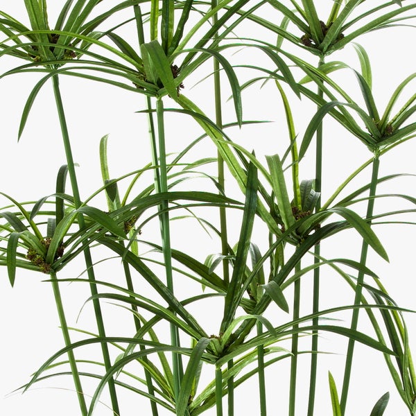 Künstliche Schmucklilie mit violetten Blüten und grünem Stiel.