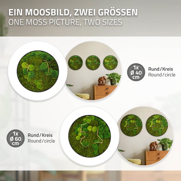 Rundes Moosbild als Wanddekoration in den Durchmessern 40 Zentimeter und 60 Zentimeter zur modernen Innenraumgestaltung.