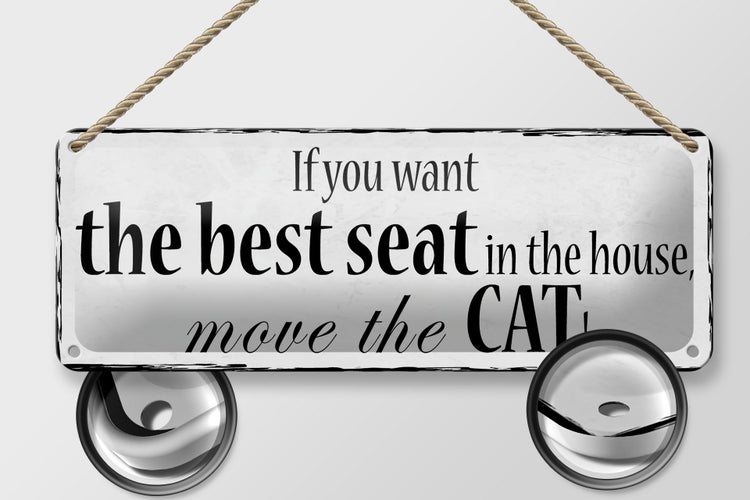 Blechschild Spruch 27x10cm if you want best seat move Cat Dekoration