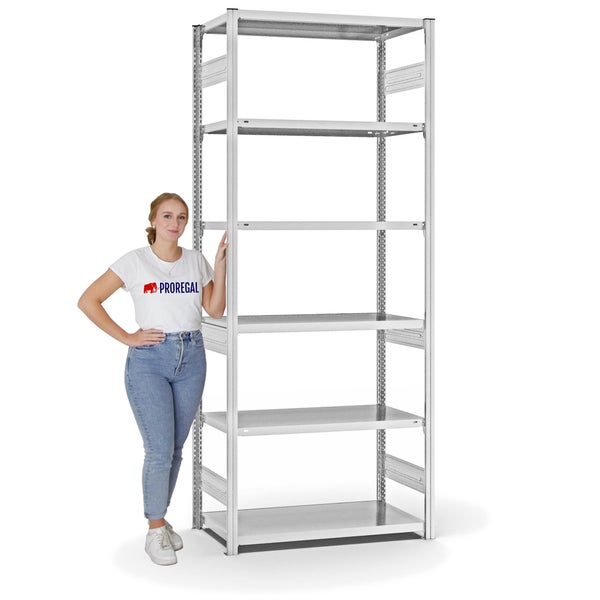 PROREGAL Fachbodenregal Stecksystem T-Profil Medium-Duty Grundregal HxBxT 250 x 100 x 50 cm 6 Ebenen Fachlast 230 kg Beidseitig Nutzbar Lichtgrau