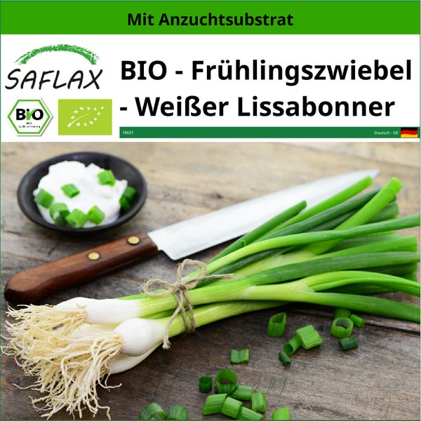 SAFLAX  - BIO - Frühlingszwiebel - Weißer Lissabonner - Allium cepa - 150 Samen - Mit keimfreiem Anzuchtsubstrat