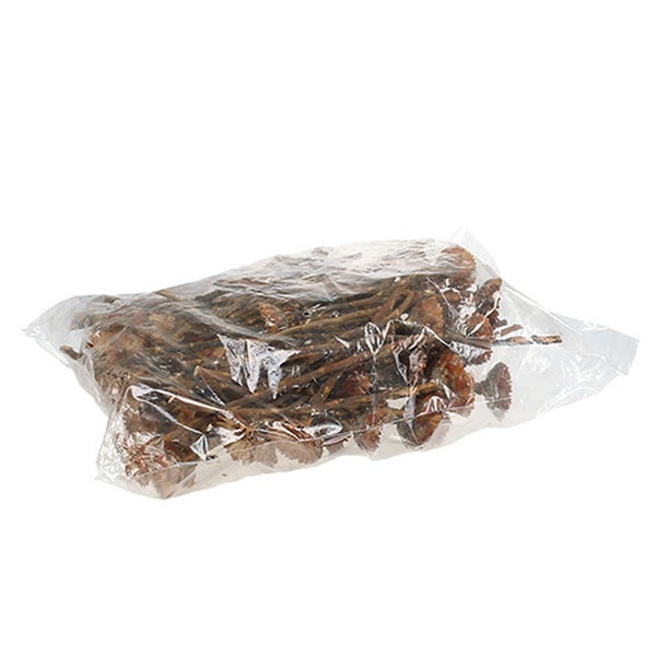 Packung mit getrockneten Zapfen für Dekorationszwecke