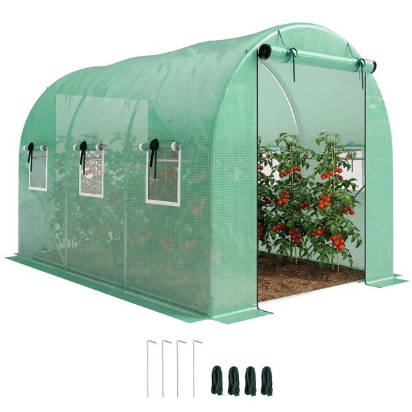 Folientunnel-Gewächshaus mit aufrollbarer Tür und Seitenfenstern, bepflanzt mit Tomatenstauden. Inklusive vier Erdnägeln und vier Seilen.