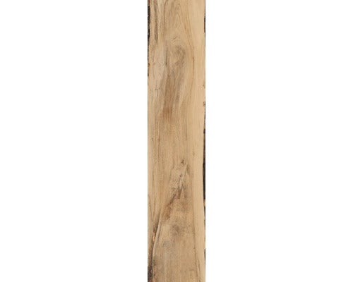 Wand- und Bodenfliese Blade natur clair 24x120cm