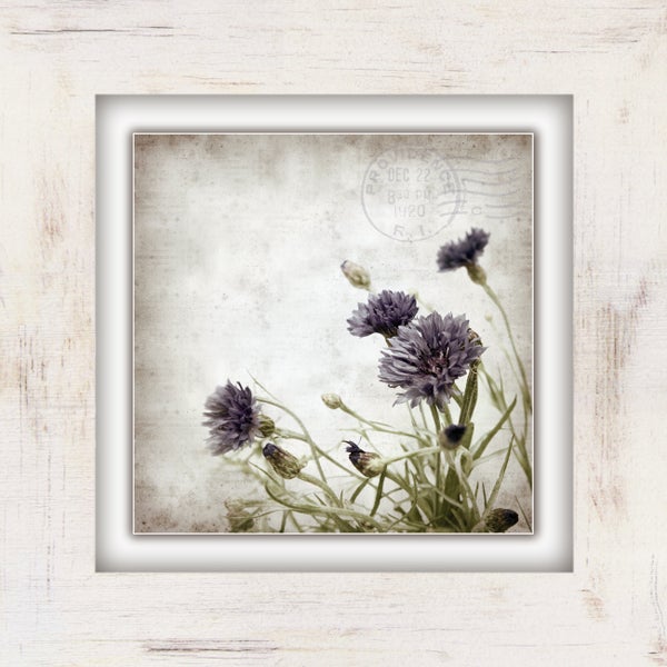 Canvas-Gemälde | Leinwandbild Blumen | Kunstdruck | gedruckt und per Hand bespannt CCS00280 Format: 40x40cm