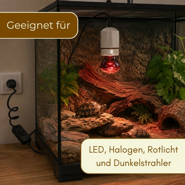 Terrarium mit zwei Schildkröten und Wärmelampe, geeignet für LED, Halogen, Rotlicht und Dunkelstrahler.