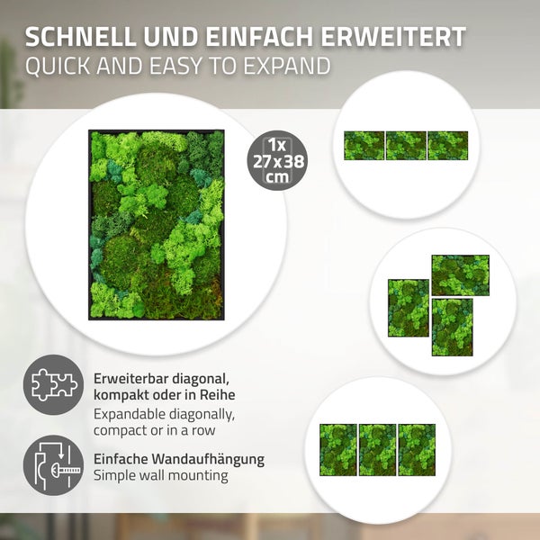 Wandbild aus konserviertem Moos in einem rechteckigen Rahmen mit Maßen 27 mal 38 Zentimeter, modular erweiterbar und einfach an der Wand zu montieren.