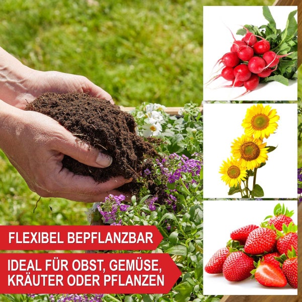 Hände halten dunkle Pflanzerde über ein Beet, daneben Abbildungen von Radieschen, Sonnenblumen und Erdbeeren.