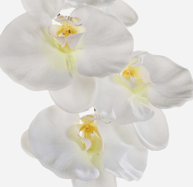 Nahaufnahme von künstlichen grünen Blättern an einem Zweig.