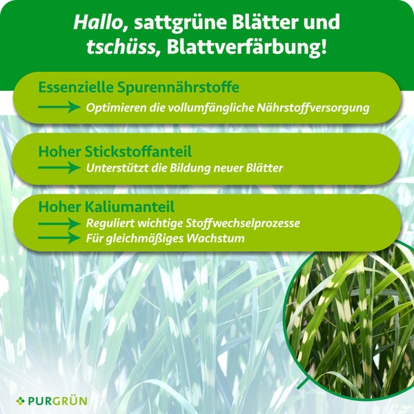 Infografik zu Pflanzendünger mit Stickstoff für neue Blätter, Kalium für das Wachstum und essenziellen Spurennährstoffen. Purgrün Logo.