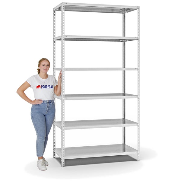 PROREGAL Fachbodenregal Schraubsystem Medium-Duty Grundregal HxBxT 250 x 130 x 60 cm 6 Ebenen Fachlast 200 kg Beidseitig Nutzbar Lichtgrau