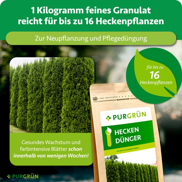 Infografik für Purgrün Hecken Dünger: 1 Kilogramm feines Granulat für bis zu 16 Heckenpflanzen, zur Neupflanzung und Pflegedüngung.