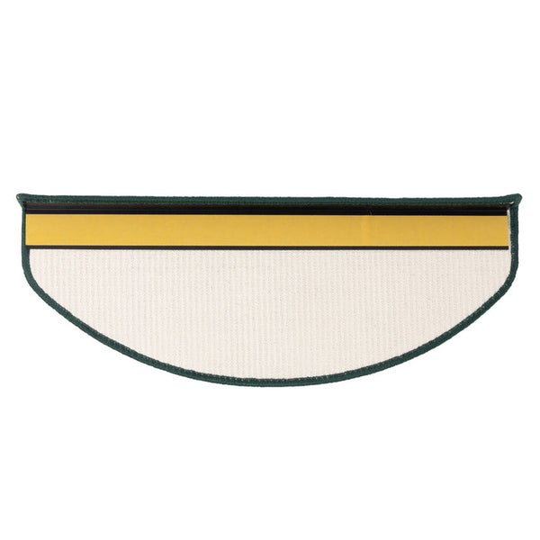 Immergrüner Spindelstrauch mit glänzenden Blättern