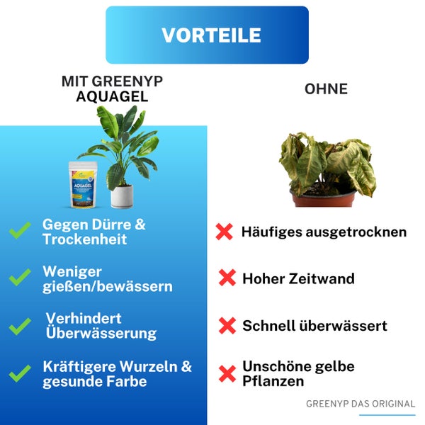 Greenyp Aquagel I Langzeit Wasserspeicher Granulat für Pflanzen, Bäume und Rasen gegen Dürre & Trockenheit I speichert das 400-fache an Wasser I 2,5kg
