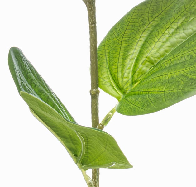 Künstlicher Drachenbaum Dracaena mit gestreiften Blättern und mehreren Stämmen im schwarzen Kunststofftopf.