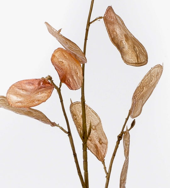 Künstlicher Schleierkraut-Zweig mit vielen kleinen weißen Blüten.