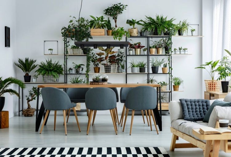 Esszimmer mit Holztisch, Stühlen und Regal voller Pflanzen