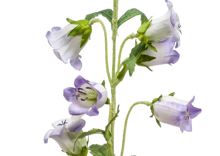 Künstliche Glockenblume mit hellvioletten und weißen Blüten am grünen Stiel.
