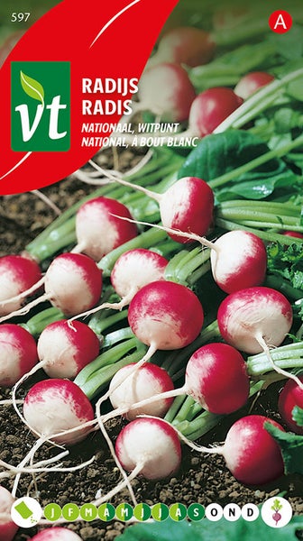 Radieschen Saatgut