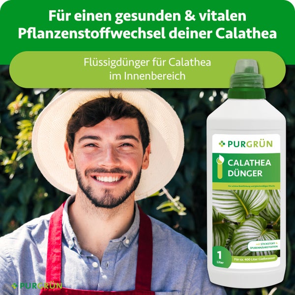 Purgrün Calathea-Flüssigdünger für Zimmerpflanzen, 1 Liter Flasche, für circa 400 Liter Gießwasser, mit Person im Hintergrund.