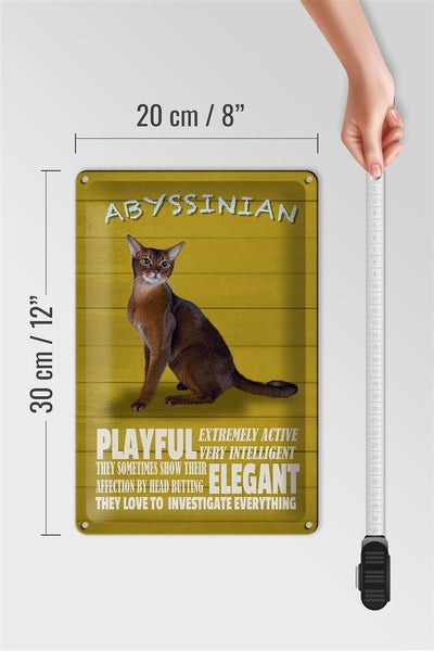 Blechschild Spruch 20x30cm Abyssinian Katze playful elegant