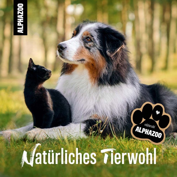 ALPHAZOO MSM Pulver 1kg für Hunde und Katzen I Organischer Schwefel für Agility
