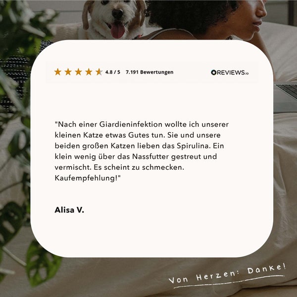 ALPHAZOO Spirulina Pulver 100g für Hunde und Katzen I Chlorophyll Algenpulver