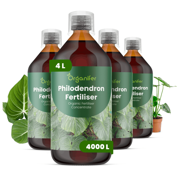 Vier Flaschen Organifer Philodendron-Dünger, je ein Liter organisches Konzentrat, für insgesamt viertausend Liter Düngemittel.