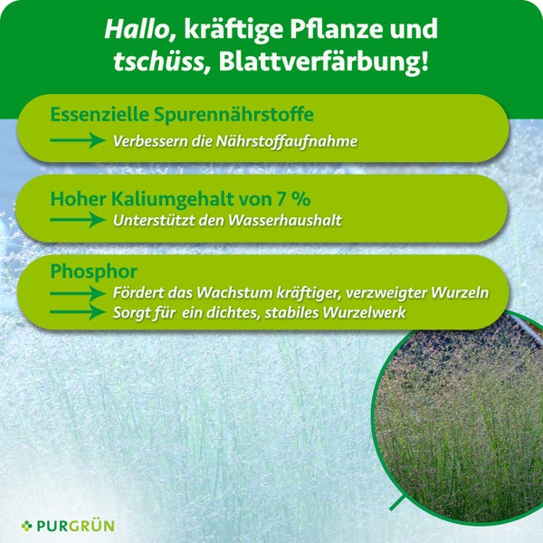 Infografik zum Purgrün Pflanzendünger mit Hinweisen zu Spurennährstoffen, Kaliumgehalt von 7 Prozent und Phosphor zur Förderung des Wurzelwachstums.